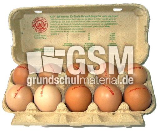 Eier-10.jpg